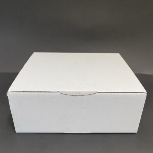 RP- post kutija B 10 kg 250x200x100 mm  1 kom